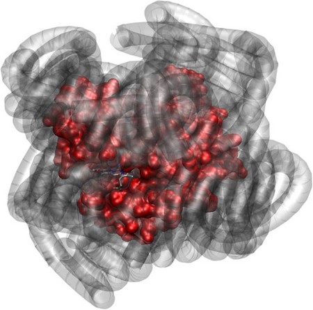 Des polymères aux effets hydratants
