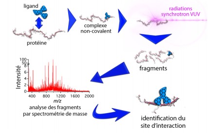 La sensation d'astringence sous les rayons UV