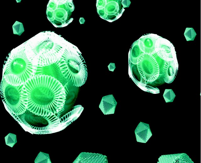 Échange de gènes entre une microalgue et un virus géant