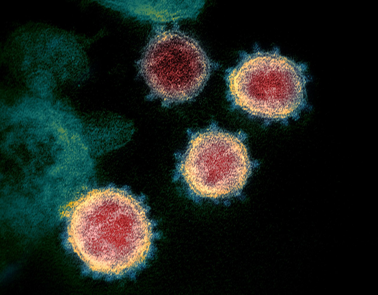 Soutenir une production plus rapide de vaccins contre le coronavirus