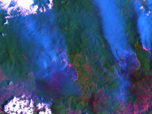 Incendies de forêt vus de l'espace
