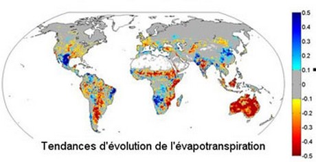 Climat : modification du cycle hydrologique de la végétation