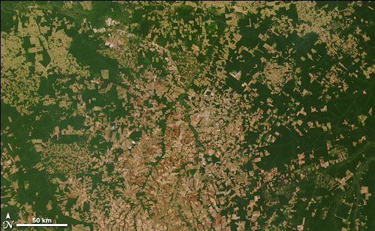 La déforestation en Amazonie vue de l’espace