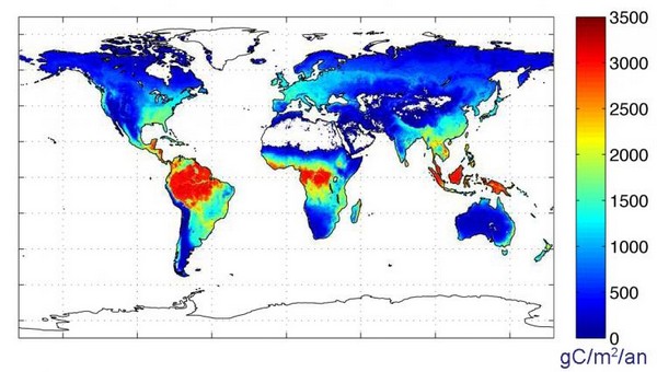 Photosynthèse : le réseau Fluxnet permet d'affiner les modèles théoriques