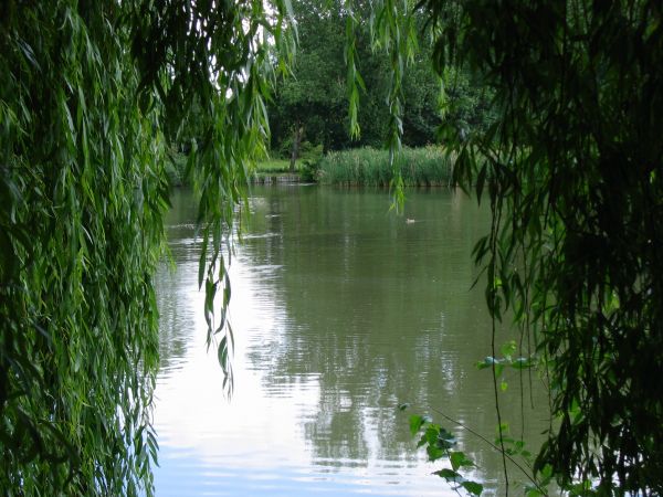 Maintenir la biodiversité pour stabiliser le fonctionnement des écosystèmes
