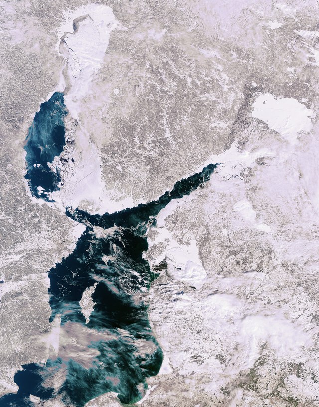 Banquises baltiques vues de l'espace