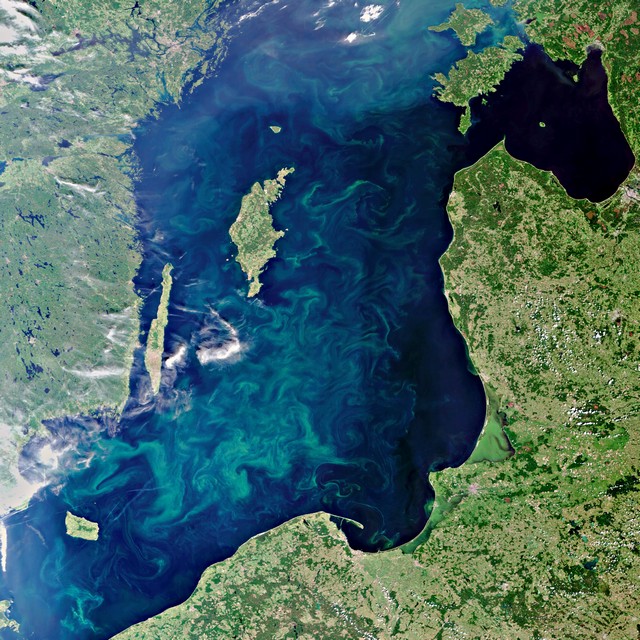Luxuriante efflorescence en Baltique vue de l'espace