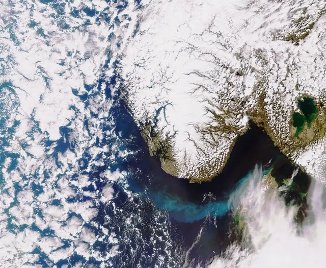 Un banc de plancton en Scandinavie vu de l'espace