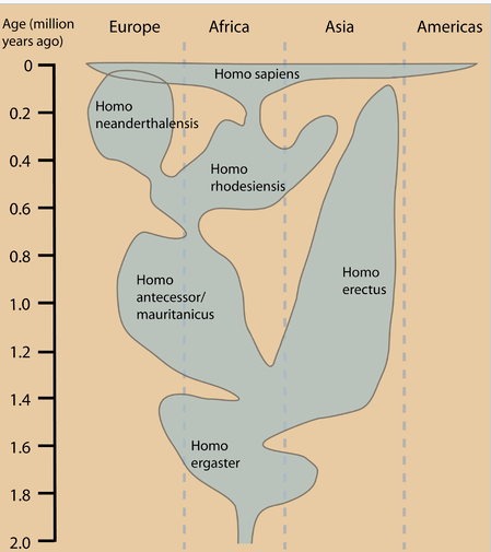 Empreintes humaines de plus de 800 000 ans