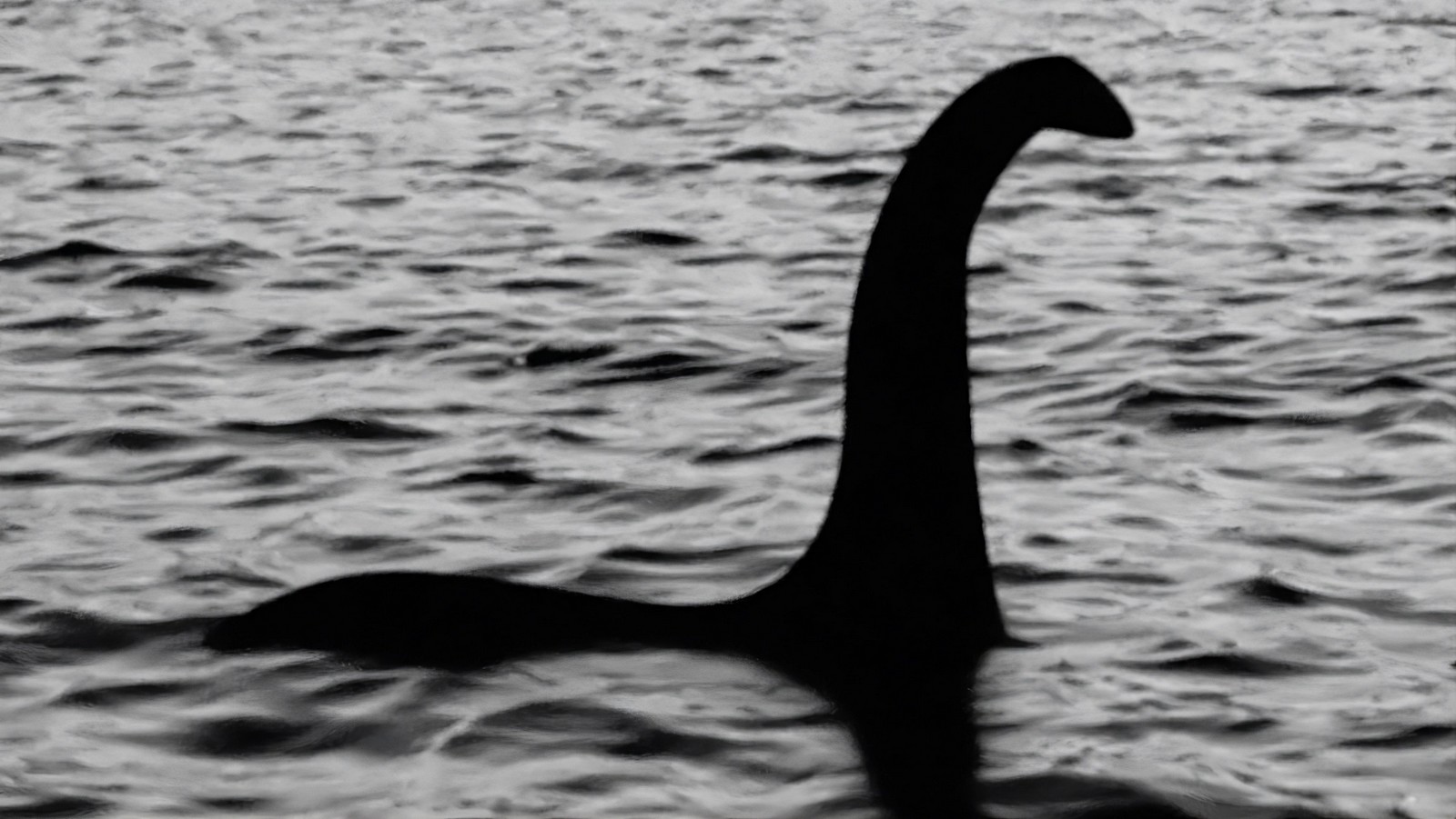 La plus grande chasse au monstre du Loch Ness depuis 50 ans est ouverte