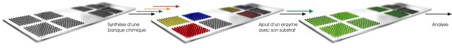 Des nanogouttes pour la synthèse et le criblage de molécules bioactives