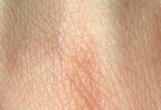 La peau électronique : une surface avec le sens du toucher