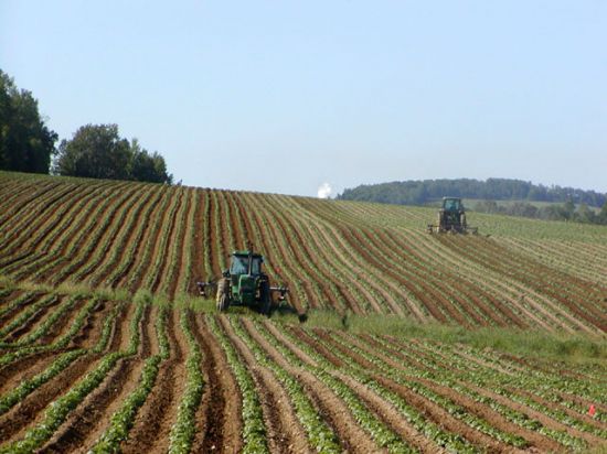 Pesticides et maladie de Parkinson