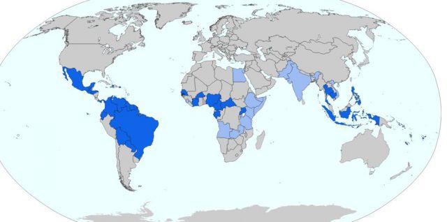 Comité international d’urgence sur le virus Zika le 1er février 2016