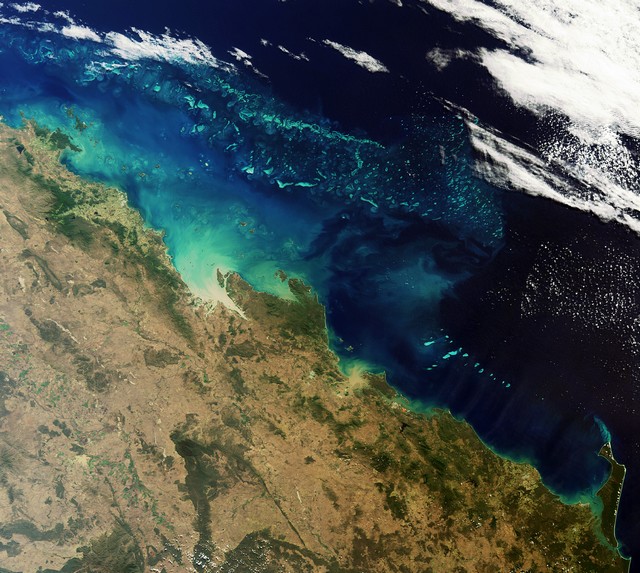 La plus grande structure vivante de la planète vue de l'espace