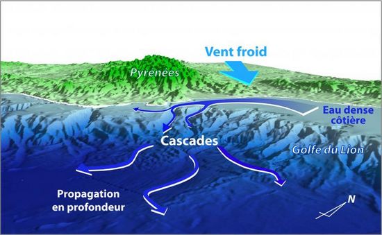 Découvertes en cascades… sous-marines !