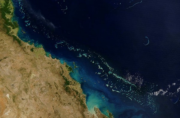 Le déclin de la Grande barrière de corail