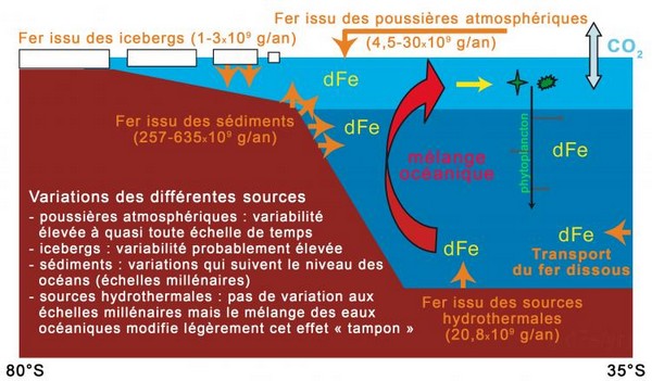 Les sources hydrothermales : une source insoupçonnée de fer dissous dans l'océan