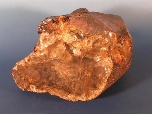 L'ambre dévoile la biodiversité fossile d'une forêt éthiopienne du Crétacé