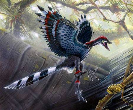 Les premiers oiseaux ne volaient pas vraiment