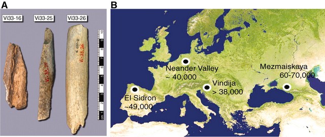 Le génome de l’homme de Néandertal publié dans Science