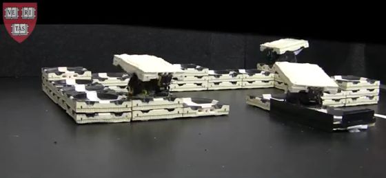 Les robots imitent les termites