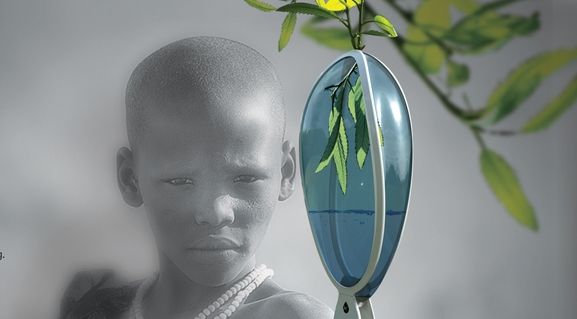 Récupérer de l'eau potable à partir des feuilles avec Savior Bud