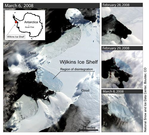 Effondrement imminent de la barrière de Wilkins en Antarctique