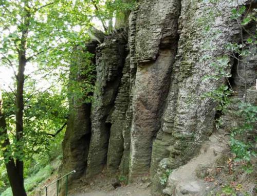 Géoparcs: quatre nouveaux sites désignés par l'Unesco