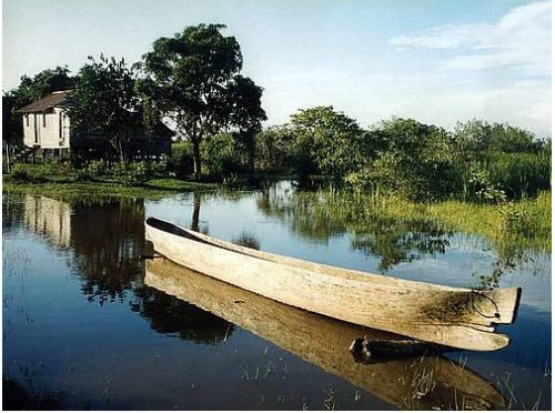 La réserve de biosphère de Río Plátano en danger