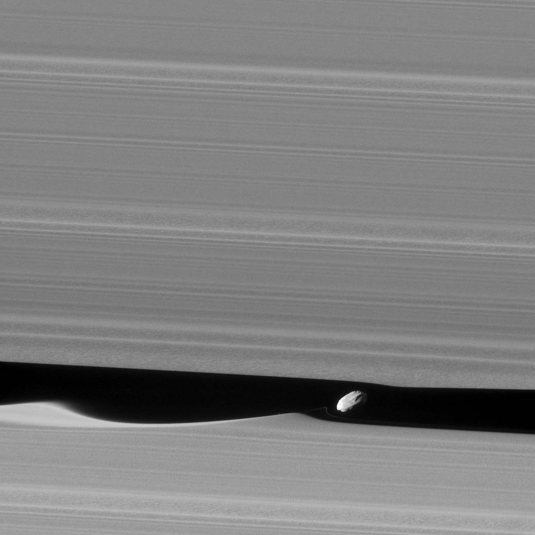 Image de Daphnis obtenue par Cassini, montrant les ondulations qu'il induit aux rebords de la division de Keeler.