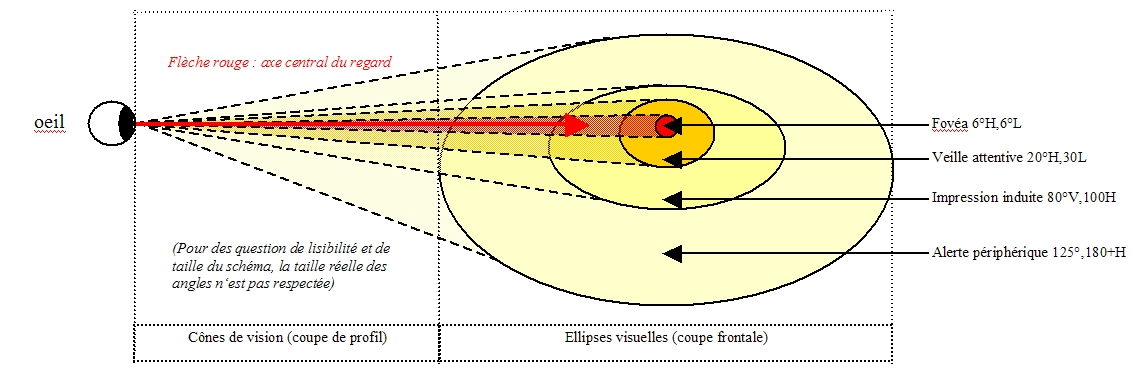 Perspective (perception visuelle)