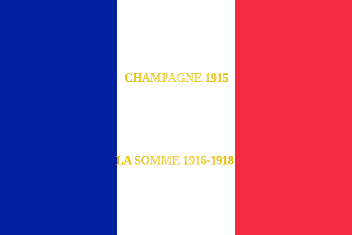 15e régiment du génie de l'air-drapeau.svg