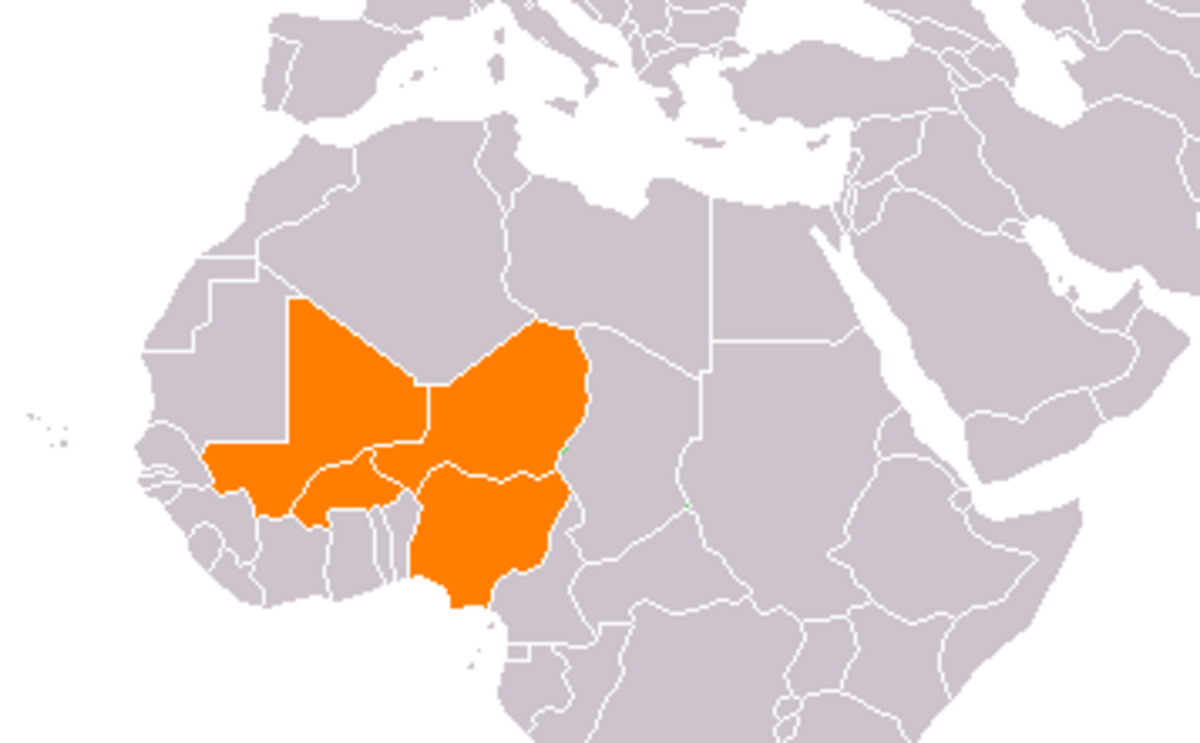 Épidémie de méningite en Afrique de l'Ouest de 2009-2010