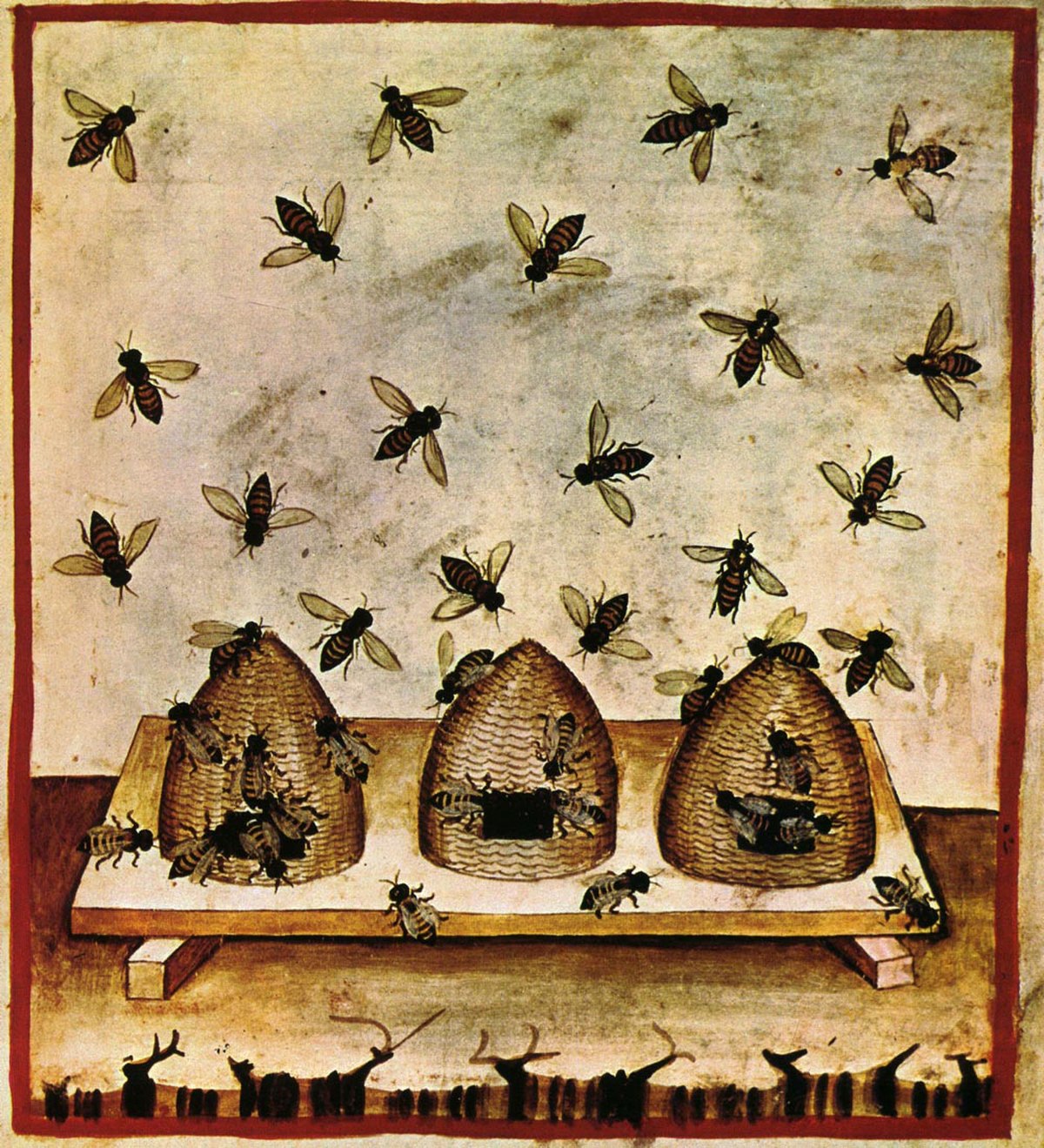 Tacuinum Sanitatis