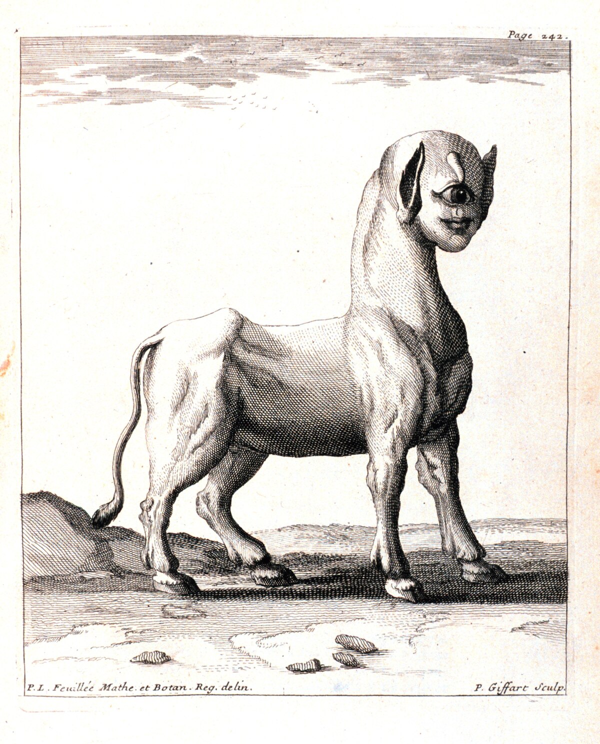 Le monstre de Feuillée