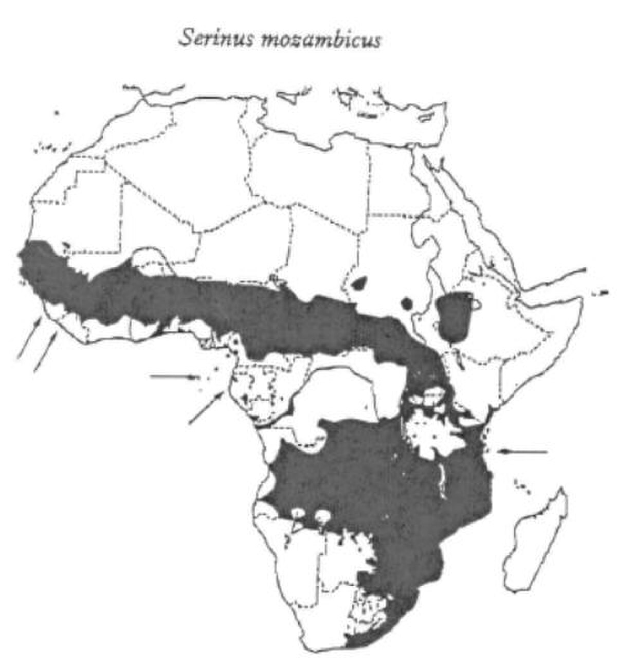 A mozambiki csicsörke elterjedési területe.jpg