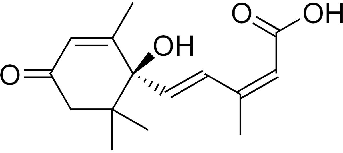 Abscisic acid structure.png