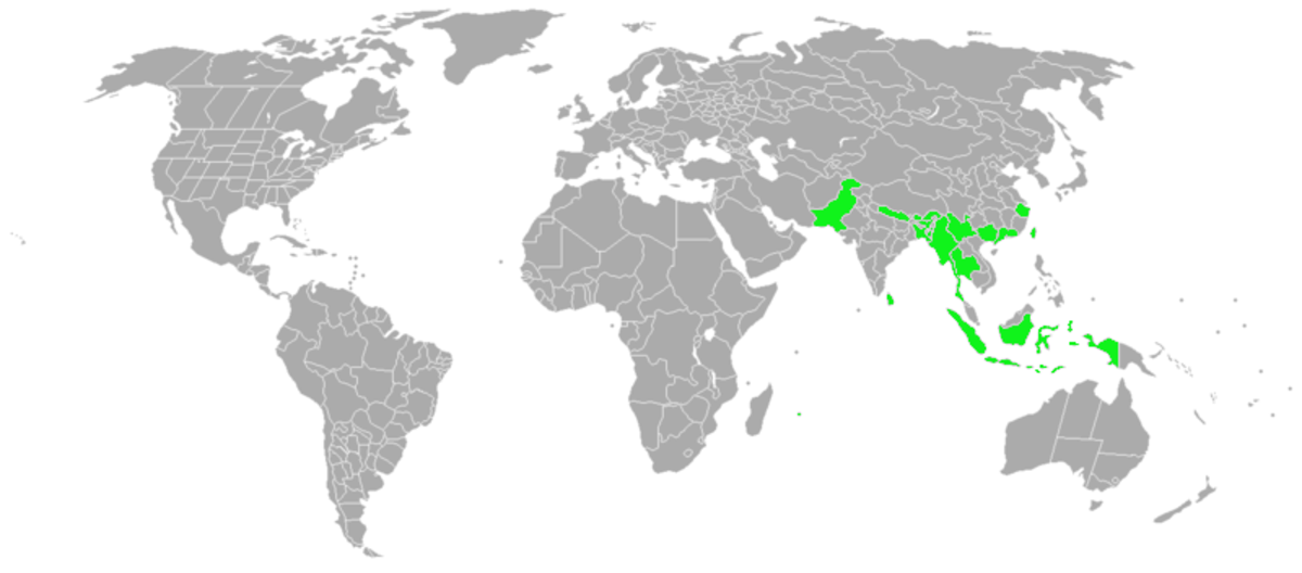 Acacia-catechu-range-map.png