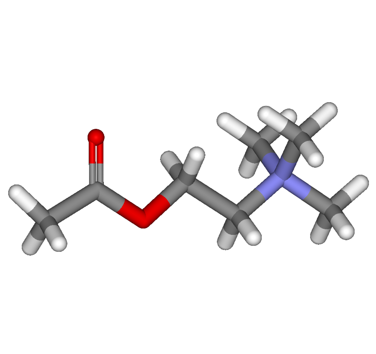 Acétylcholine