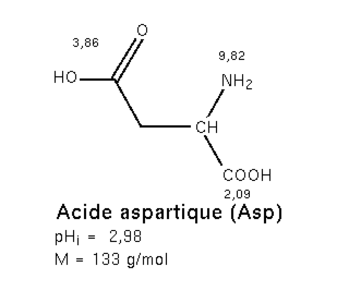 Acide aspartique