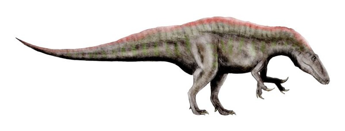 Reconstitution d'Acrocanthosaurus