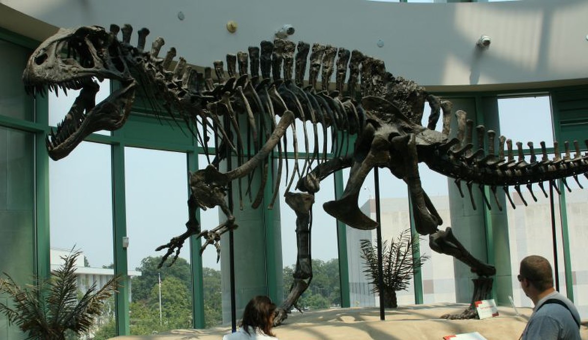 Acrocanthosaure