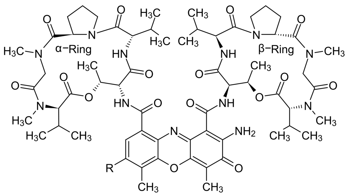 Actinomycine D