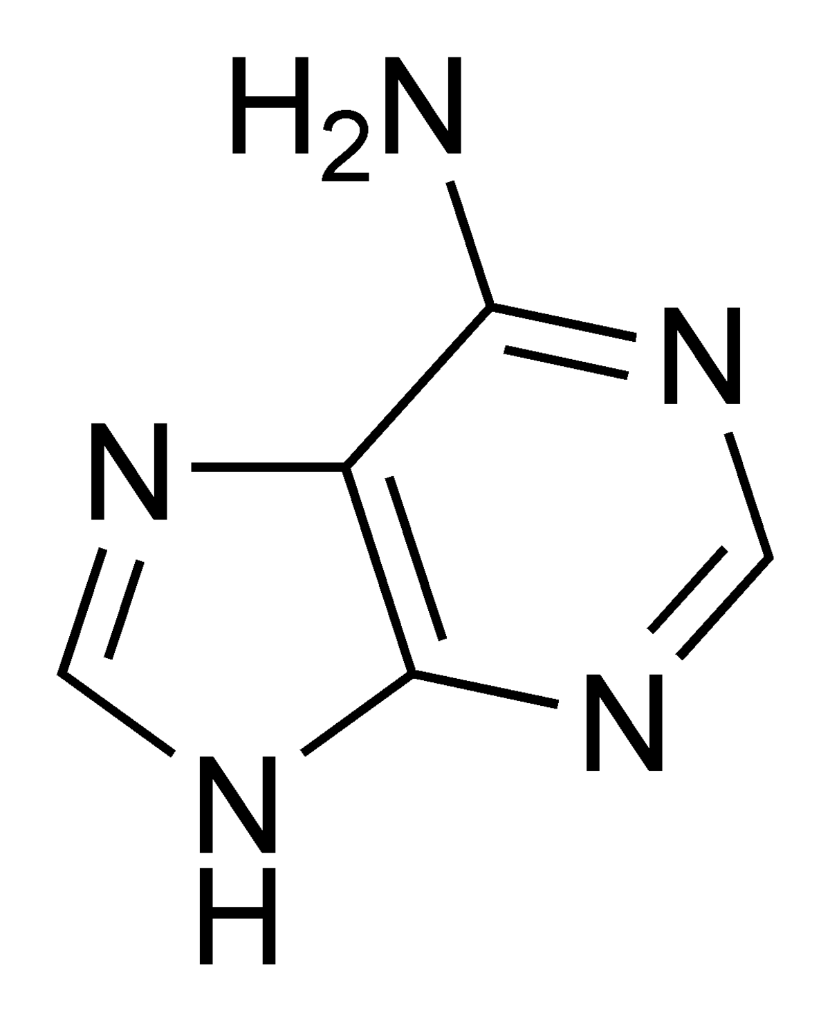 structure chimique de l'adenine