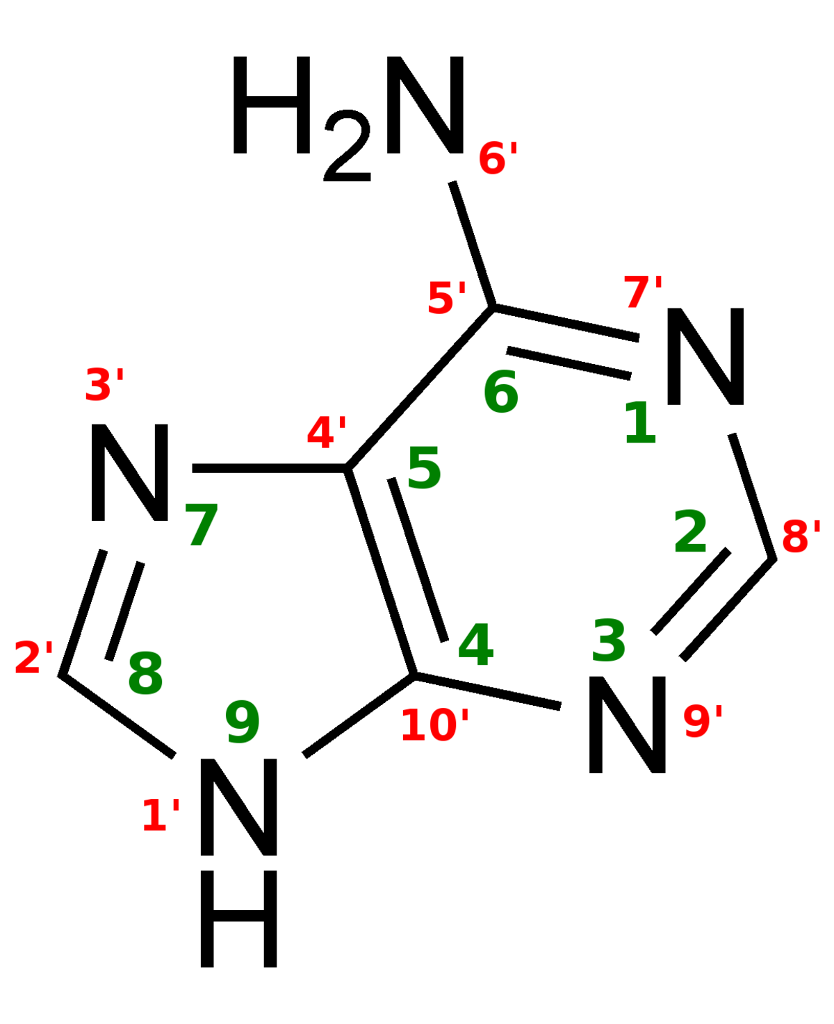 Adénine