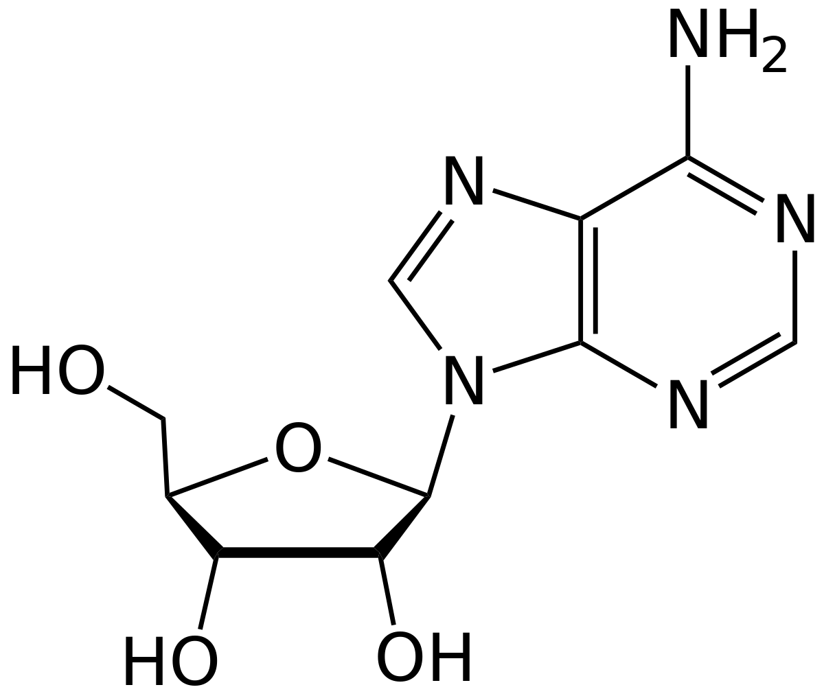 Adénosine