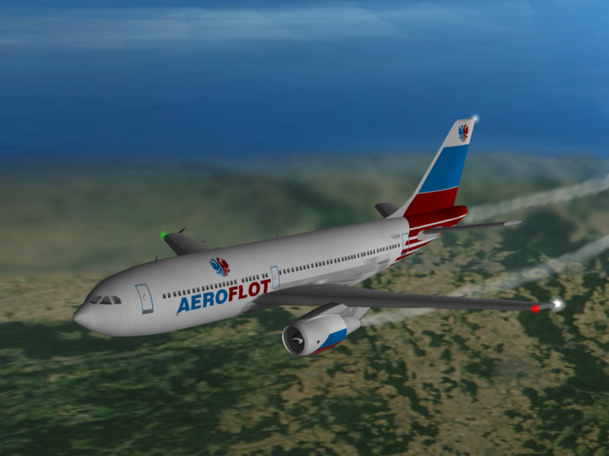 Vol 593 Aeroflot