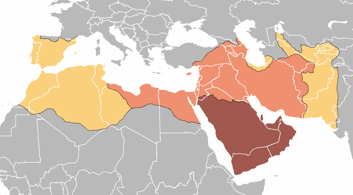 Médecine dans la civilisation islamique
