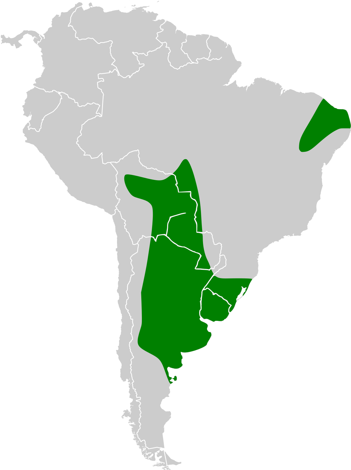 Répartition du Vacher à ailes baies